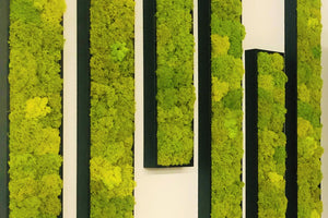 The wood framed moss panel