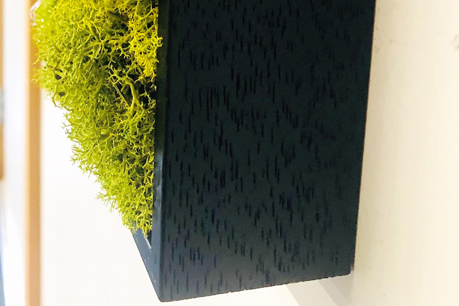 The wood framed moss panel