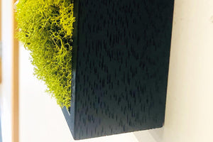 The wood framed moss panel