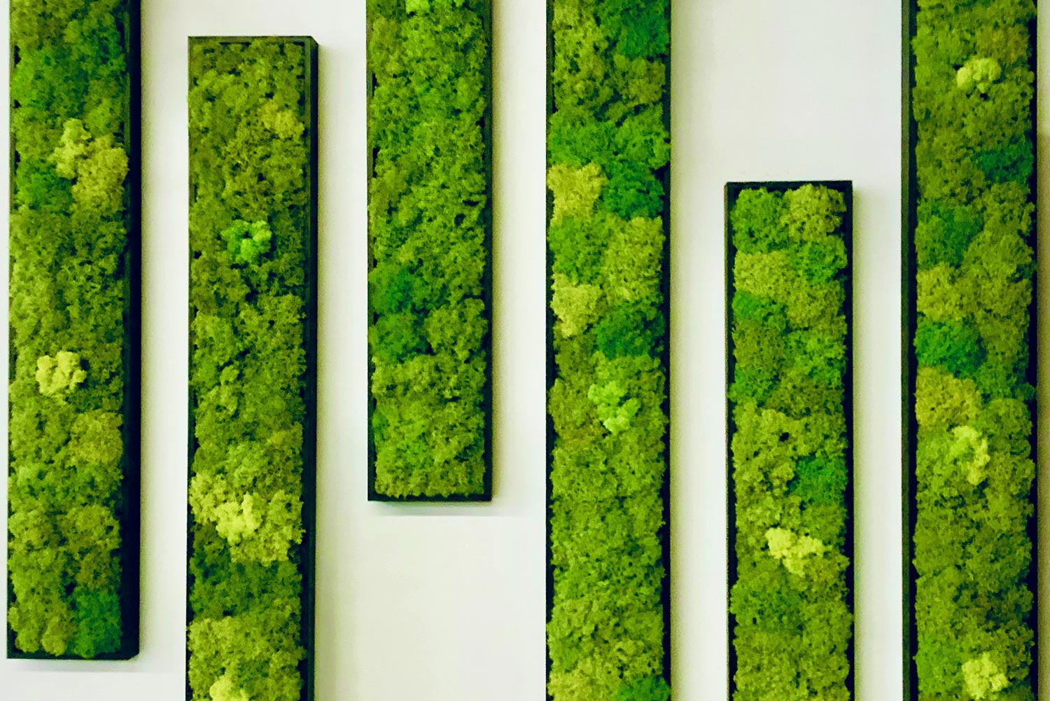 The wood framed moss panel